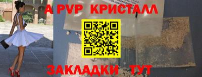 спиды Моздок