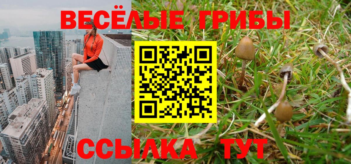 Псилоцибиновые грибы Magic Shrooms Уварово